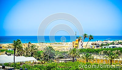 Beach farms ! Stock Photo