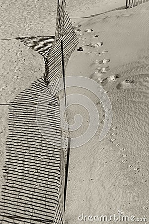 Beach Fence Stock Photo