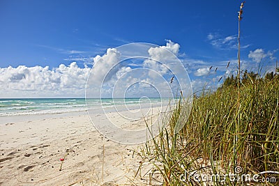 Beach on grand bahama Stock Photo