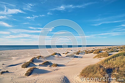 Beach Gras and Dunes at the Jammerbugt in Denmark Stock Photo