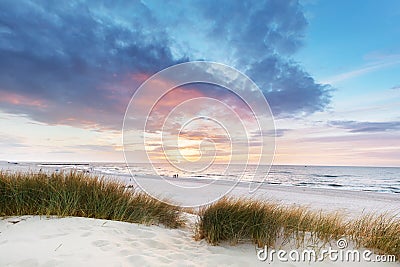Beach grass on dune, Baltic sea at sunset Stock Photo