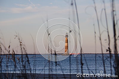 Beach grasses and reeds form a natural frame with the Morris Island Lighthouse in SC Stock Photo