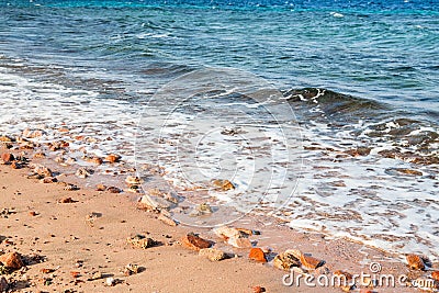 winter beach middle eastern single women 7 best travel destinations for single women jenni cairo | may 20, 2015 looking for the solo adventure of a lifetime these 7 awesome travel destinations are the. winter beach middle eastern single women 7 best travel destinations for single women jenni cairo | may 20, 2015 looking for the solo adventure of a lifetime these 7 awesome travel destinations are the.