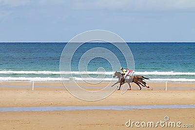 Beach horse race Editorial Stock Photo