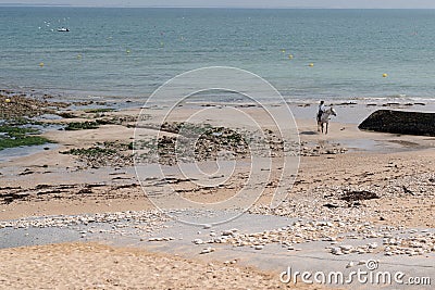 Beach on Ile de re in France with woman and horse in sand Stock Photo