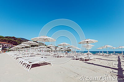 Beach and Italian Tyrrhenian coast with a multitude seamsless of beach umbrellas, deckchairs for vacationers. Trees and nature in Stock Photo