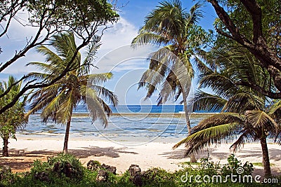 Beach in Kenya Stock Photo