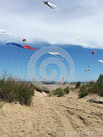 Beach Kites Editorial Stock Photo