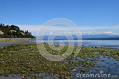 Beach landscape Goose Spit Park, Comox Stock Photo