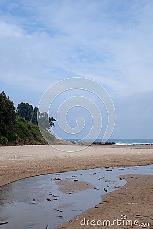 Beach landscape with a river mouth and green cliff Stock Photo