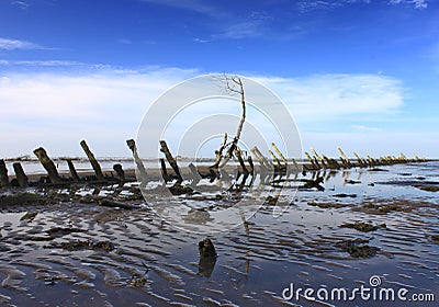 the beach at low tide Stock Photo