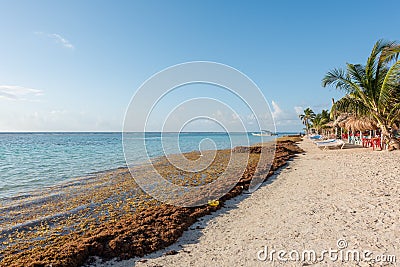 The beach in Mahahual, Mexico Stock Photo