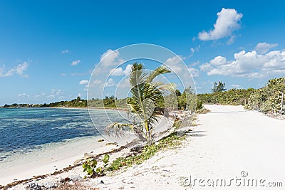 The beach in Mahahual, Mexico Stock Photo