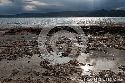 Beach of the National west park in Bali Stock Photo