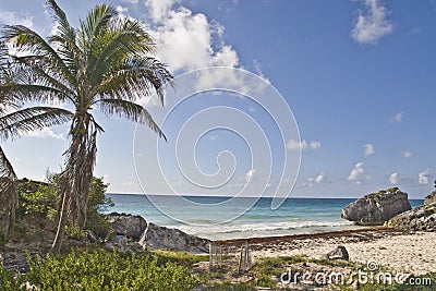 Beach near Mayan ruin in Tulum Stock Photo