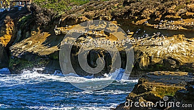 On beach near ocean in La Jolla,San Diego Stock Photo