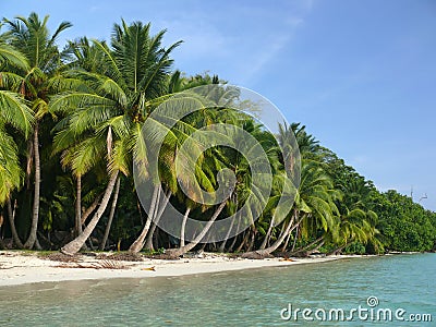 Beach no. 5, Havelock Island, Andaman Islands, Ind Stock Photo