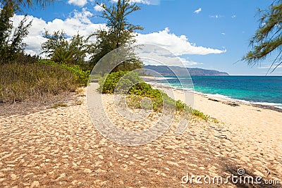 Beach at northshore oahu honululu hawaii Stock Photo