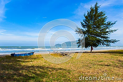 Beach, Palm Tree, Coconut Palm Tree, Tropical Climate, Sand Stock Photo