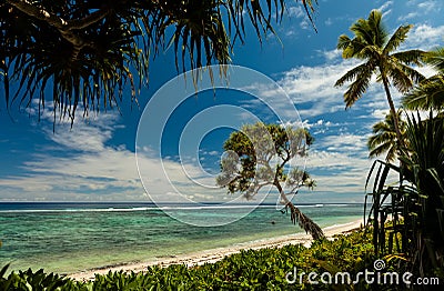 Beach with palm trees on the south pacific island of Tonga Stock Photo