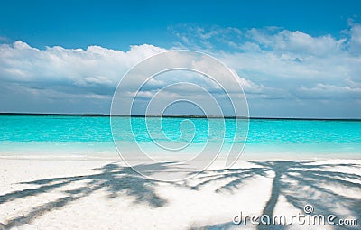 On the beach, palms Stock Photo