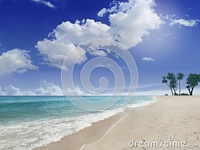 Beach with palms Stock Photo