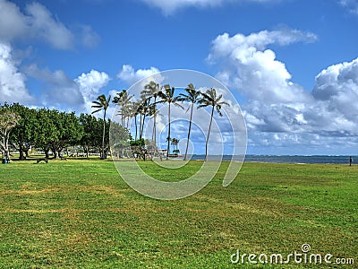 Beach Park on Oahu island with large green grass area Stock Photo