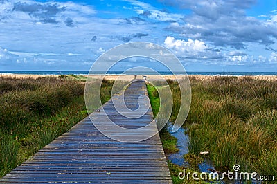 Beach Path Stock Photo