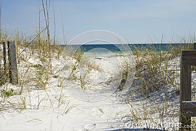 Beach Path Stock Photo