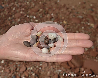Beach pebbles Stock Photo