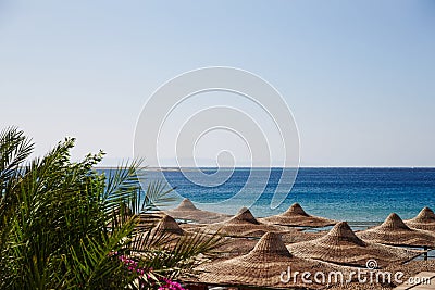 Beach, Red Sea, umbrellas, chaise lounges, branches of date palm Stock Photo