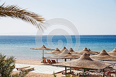 Beach, Red Sea, umbrellas, chaise lounges, branches of date palm Stock Photo