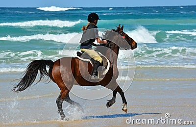 Beach ride Stock Photo