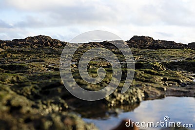 Beach rocks completely wet with water in the form of a puddle making reflections of the blue sky Stock Photo