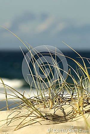 Beach Sand Dune Stock Photo