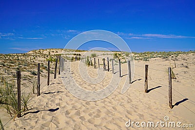 Beach sand Path fence Through Dunes access sea in Lacanau ocean atlantic in France Stock Photo