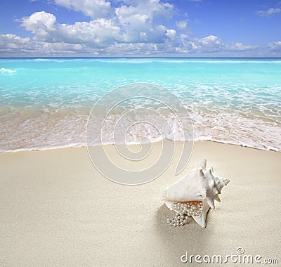 Beach sand pearl necklace shell summer vacation Stock Photo