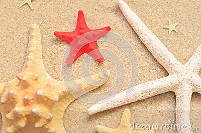 Beach sand with starfish Stock Photo