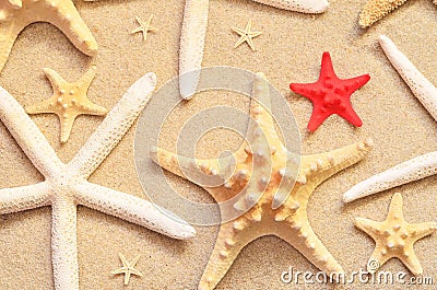 Beach sand with starfish Stock Photo