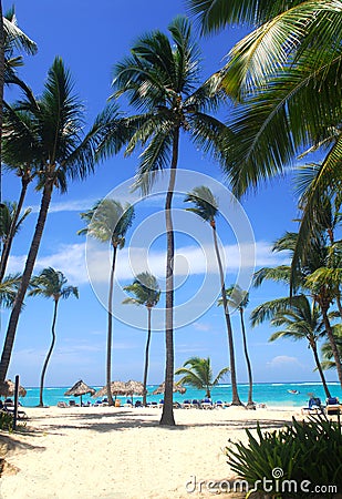 Beach scene in the Dominican Republic Stock Photo