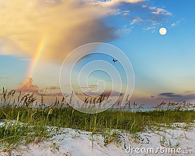 Beach scene on Gulf Coast Stock Photo