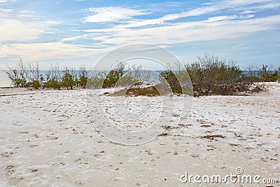 Beach Scene at Honeymoon Island State Park, Florida Stock Photo