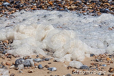 Beach sea foam on the shore. Organic spume from waves. Stock Photo