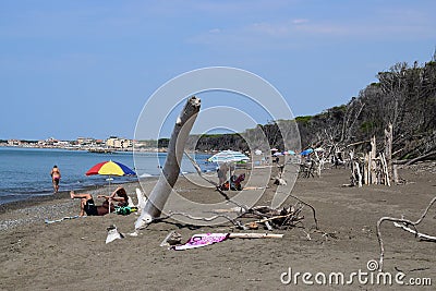 Beach and sea of Marina di Cecina, Maremma, Tuscany, Italy, Europe Editorial Stock Photo