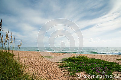 Beach at Sebastian Inlet Stock Photo