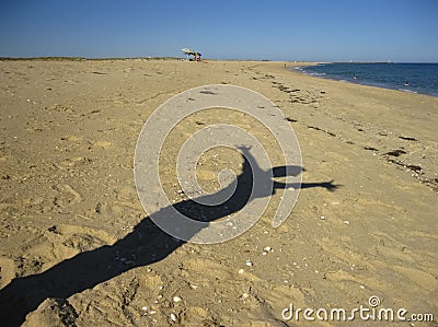 Beach, Shade, Silhouette, Sea, Sun shadow woman Stock Photo