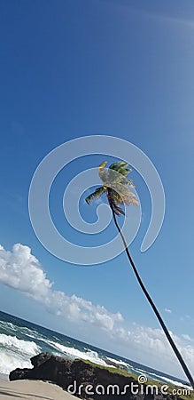 Beach side view Stock Photo