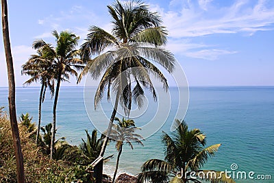 Beach side view coconut trees Stock Photo