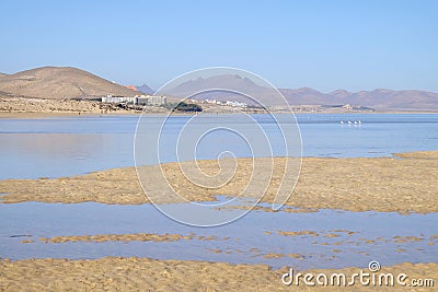 Beach Sotavento, Fuerteventura, Spain. Stock Photo