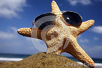 Beach Starfish with Shades Stock Photo